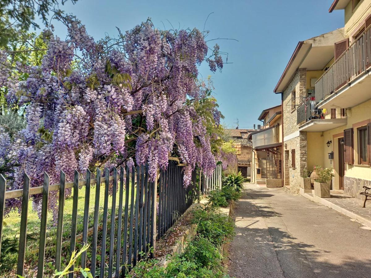 B&B Torrematta 아시시 외부 사진