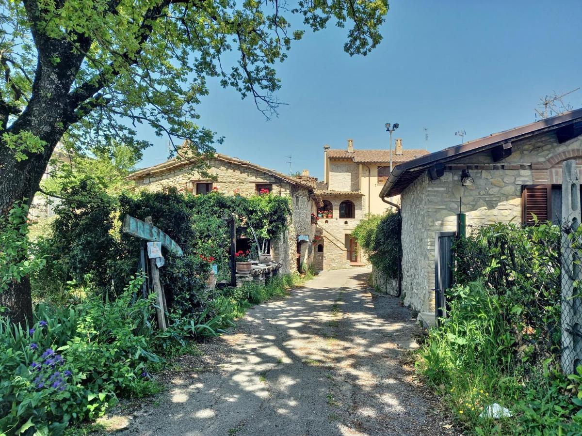 B&B Torrematta 아시시 외부 사진