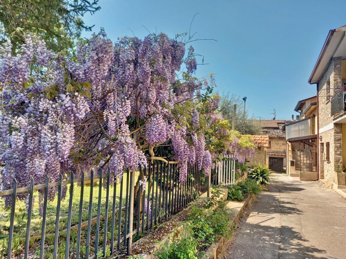 B&B Torrematta 아시시 외부 사진