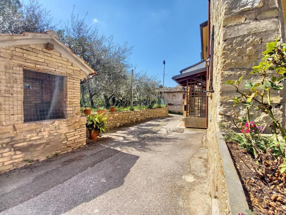 B&B Torrematta 아시시 외부 사진