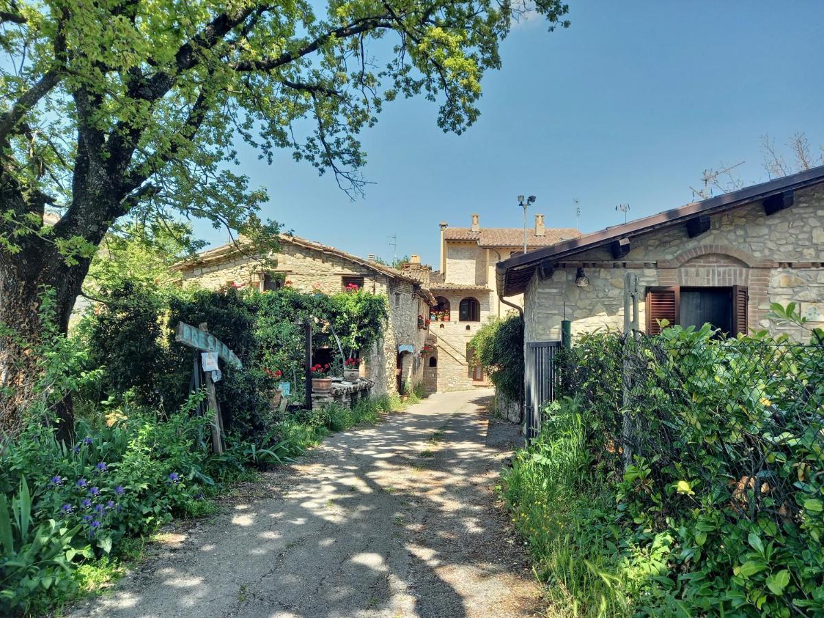 B&B Torrematta 아시시 외부 사진